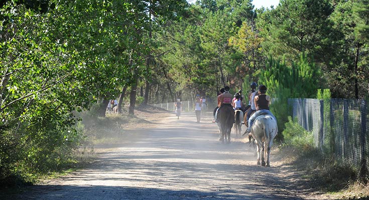 Balades-et-randonnées-à-cheval-en-Vendée