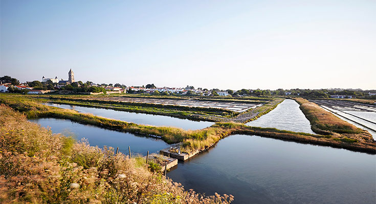 marais salant à Noirmoutier en Vendée